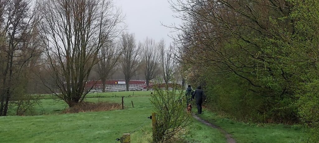 opening fietsbrug waregem wielsbeke